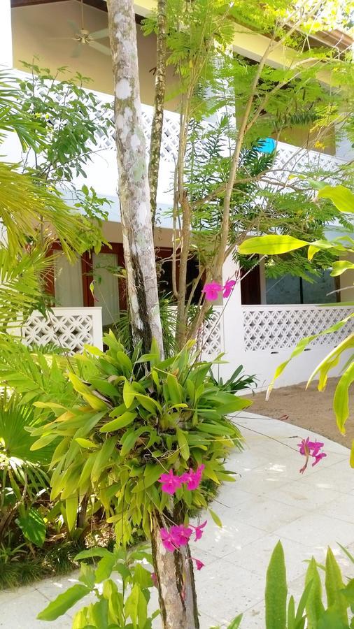 Idle Awhile Beach Negril Exterior foto